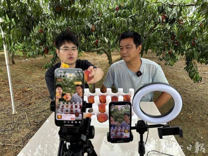 黄桃直播小视频