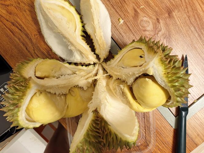 榴莲视频色斑让你流连忘返iOS公司