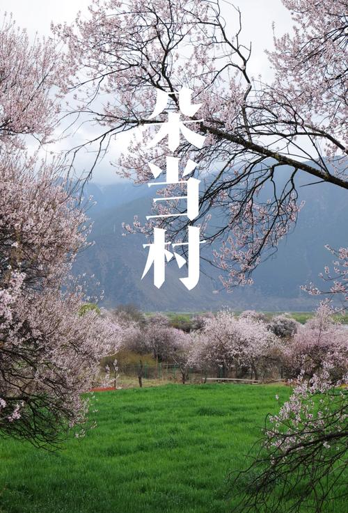 桃花视频在线观看高清播放