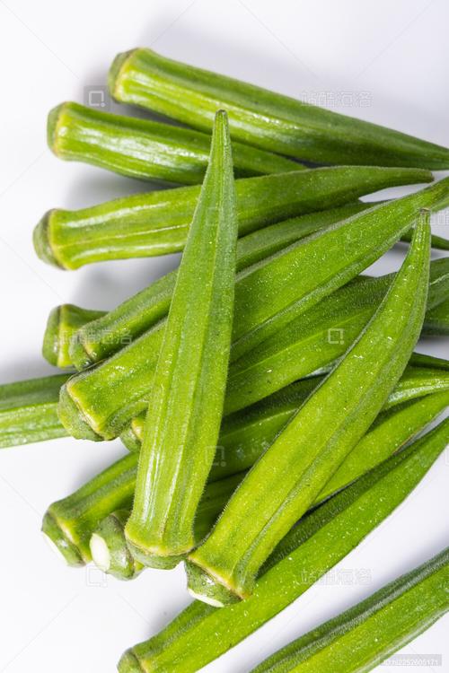 秋葵久热精品视频