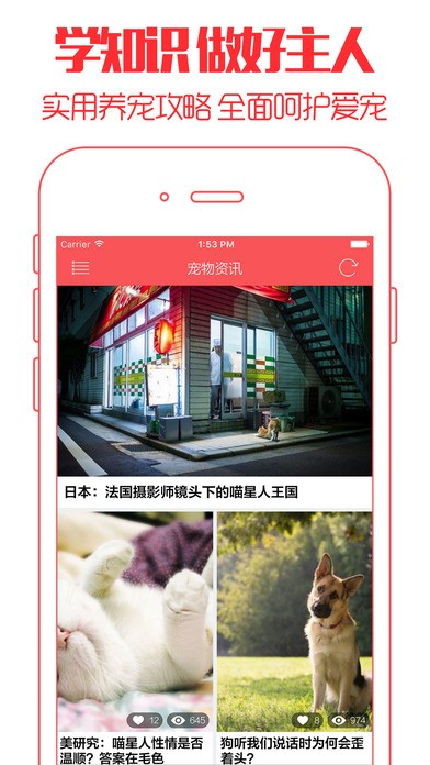 云养猫app安卓版