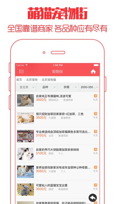 云养猫app安卓版