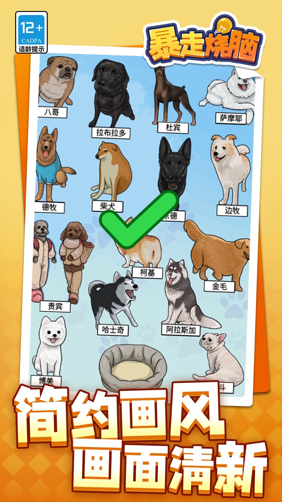 暴走烧脑完整版