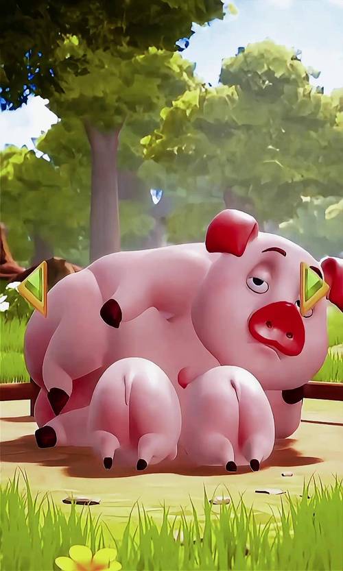 小猪官网在线观看